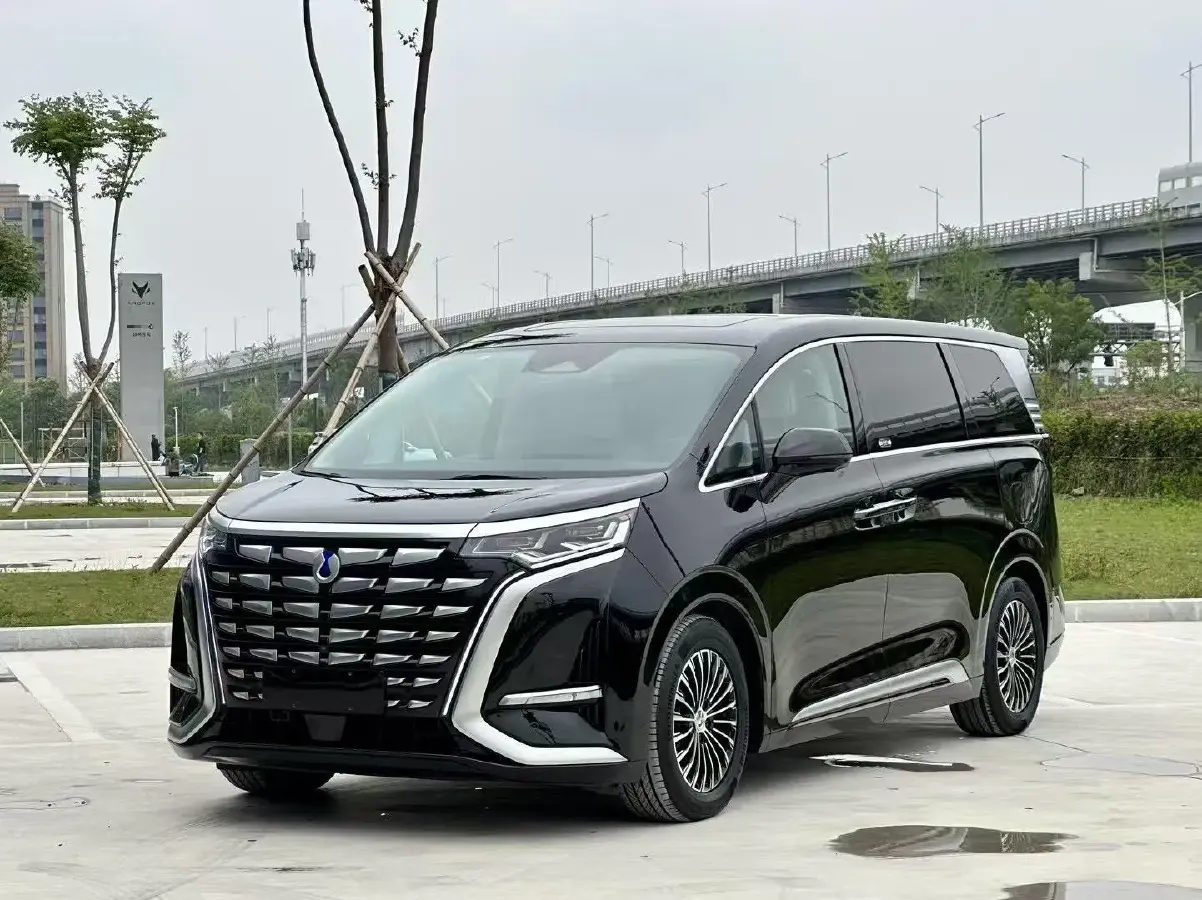 2022 Denza D9 1.5T 139HP L4 E-CVT PHEV 40.06KWH