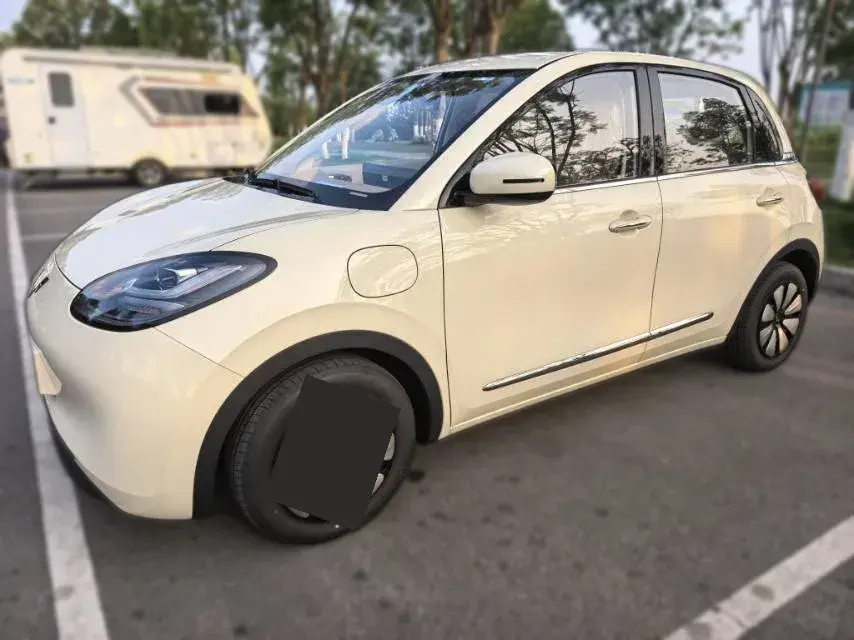 2024 WuLing BinGuo BEV 31.9KWH