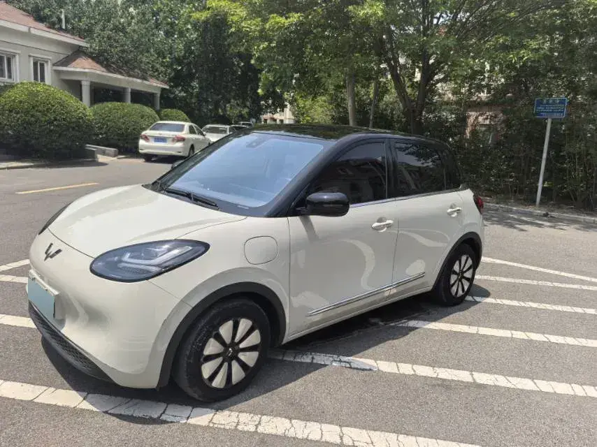 2023 WuLing BinGuo BEV 31.9KWH