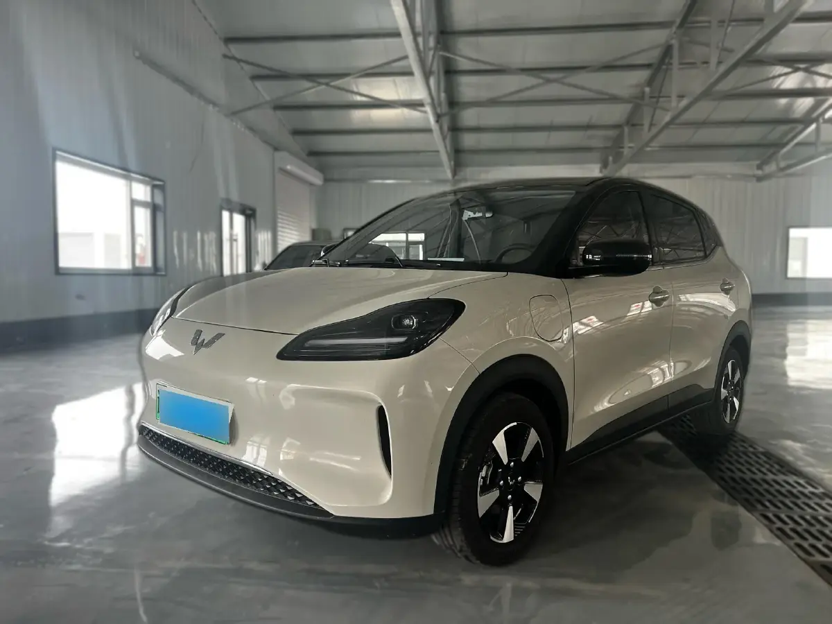 2024 WuLing BinGuoPLUS BEV 31.9KWH