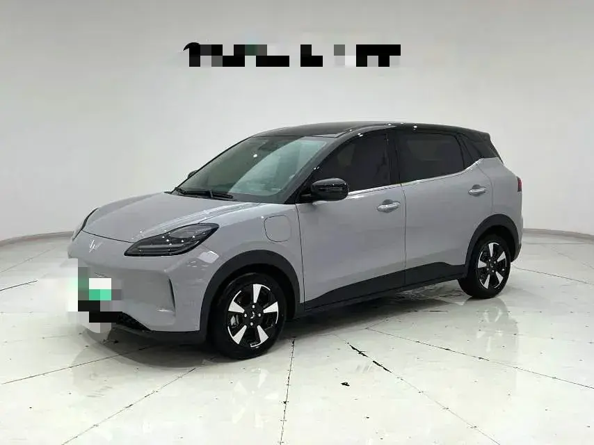 2024 WuLing BinGuoPLUS BEV 50.6KWH