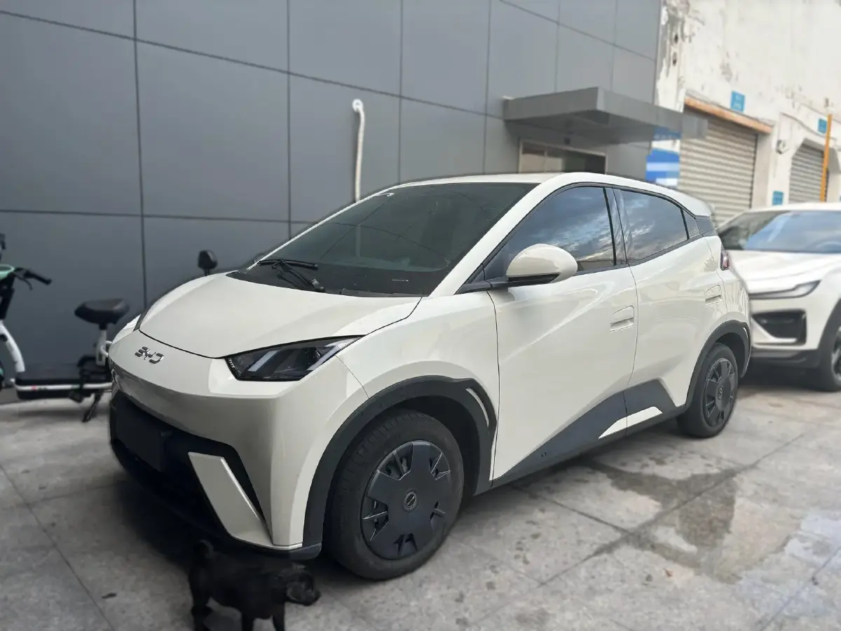 2023 BYD Seagull BEV 30.08KWH