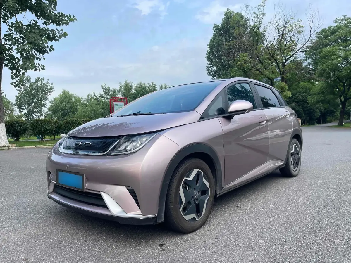 2021 BYD Dolphin BEV 44.9KWH