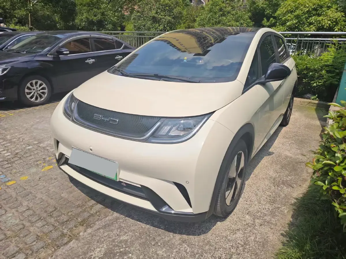 2023 BYD Dolphin BEV 44.928KWH