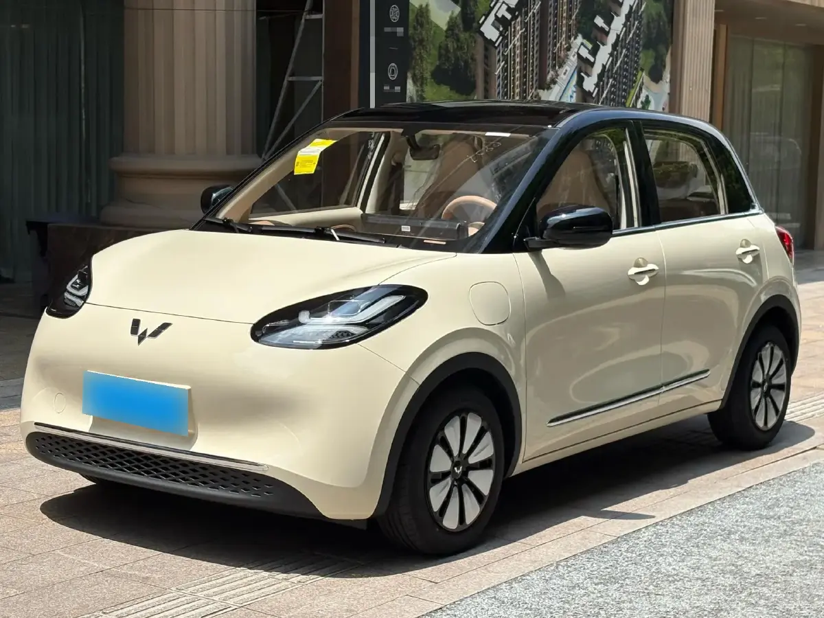 2025 WuLing BinGuo BEV