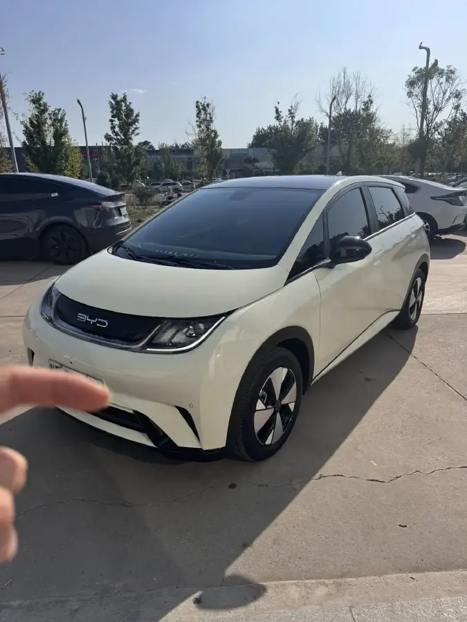 2023 BYD Dolphin BEV 44.928KWH