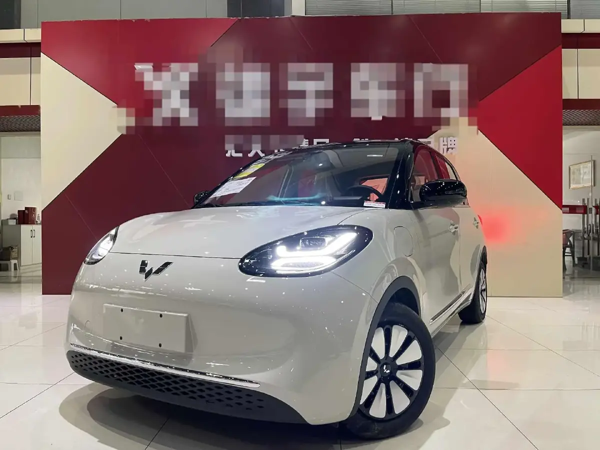 2024 WuLing BinGuo BEV 31.9KWH