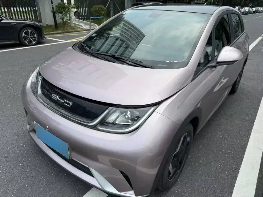 2021 BYD Dolphin BEV 44.9KWH