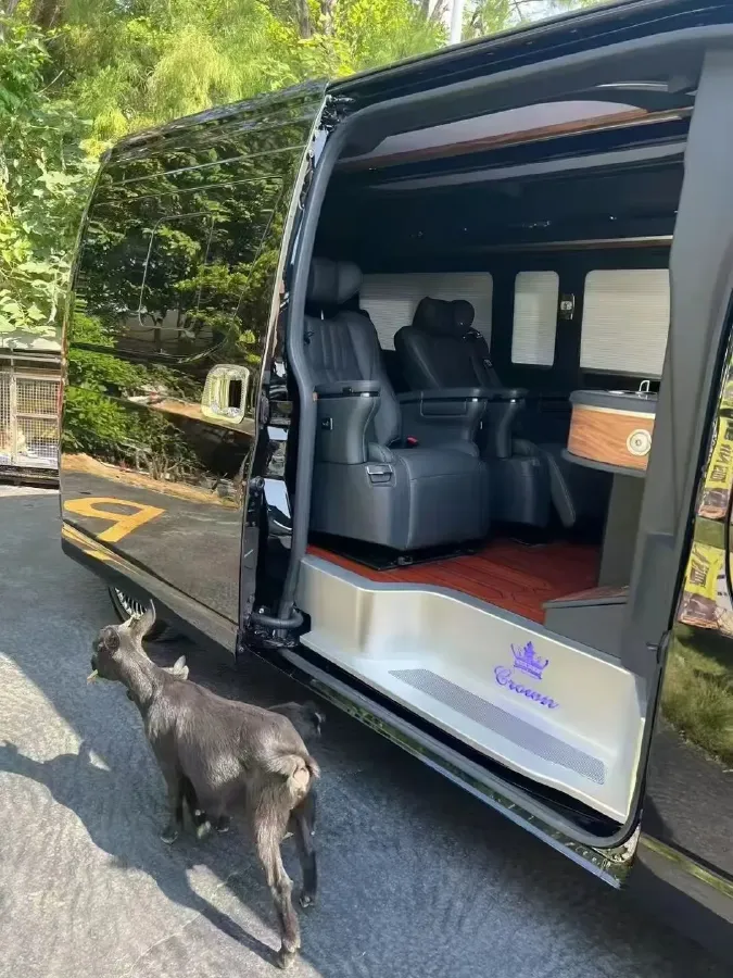 2019 Golden Dragon Sea Lion BEV 51.67KWH,autocango,china used car exporter,china ev exporter,chinese used car exporter,chinese used ev exporter