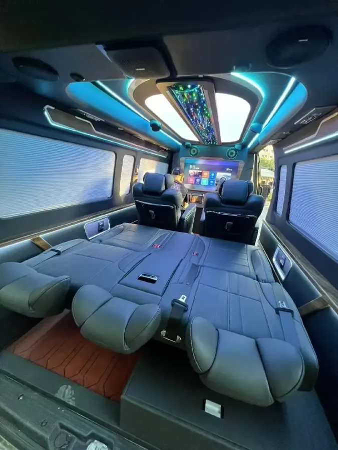 2019 Golden Dragon Sea Lion BEV 51.67KWH,autocango,china used car exporter,china ev exporter,chinese used car exporter,chinese used ev exporter