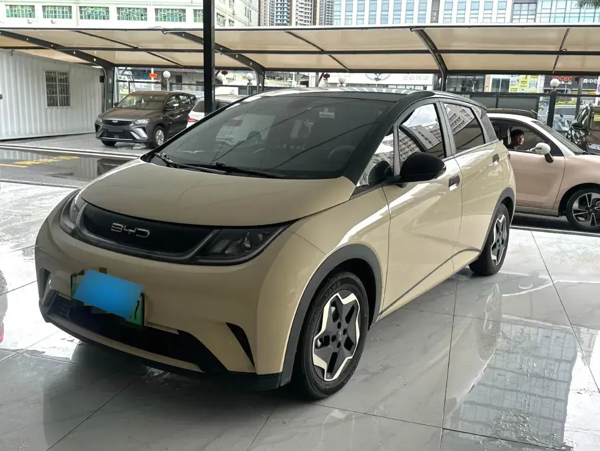 2021 BYD Dolphin BEV 44.9KWH