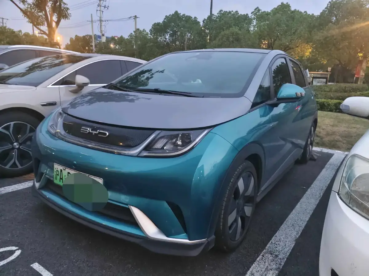 2021 BYD Dolphin BEV 44.9KWH