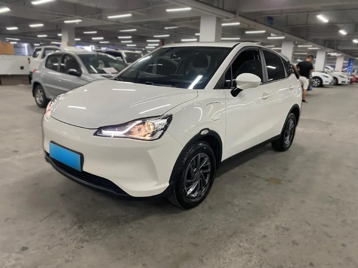 2022 Neta V BEV 31.7KWH