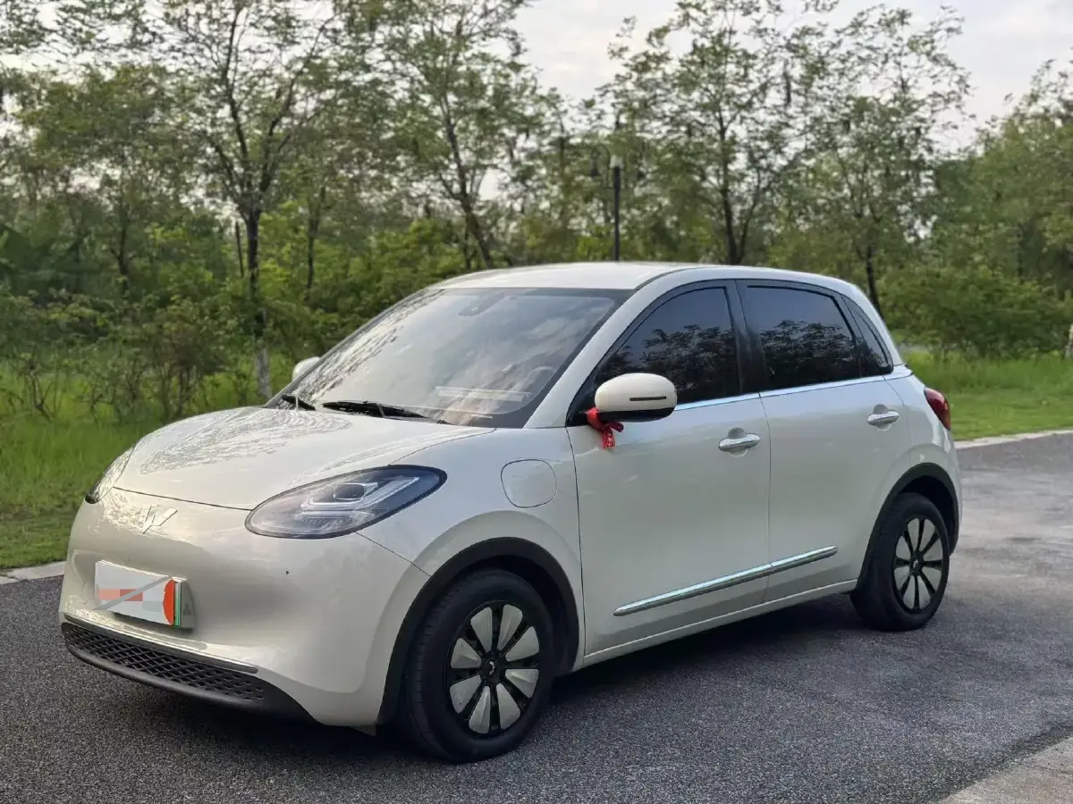 2023 WuLing BinGuo BEV 31.9KWH