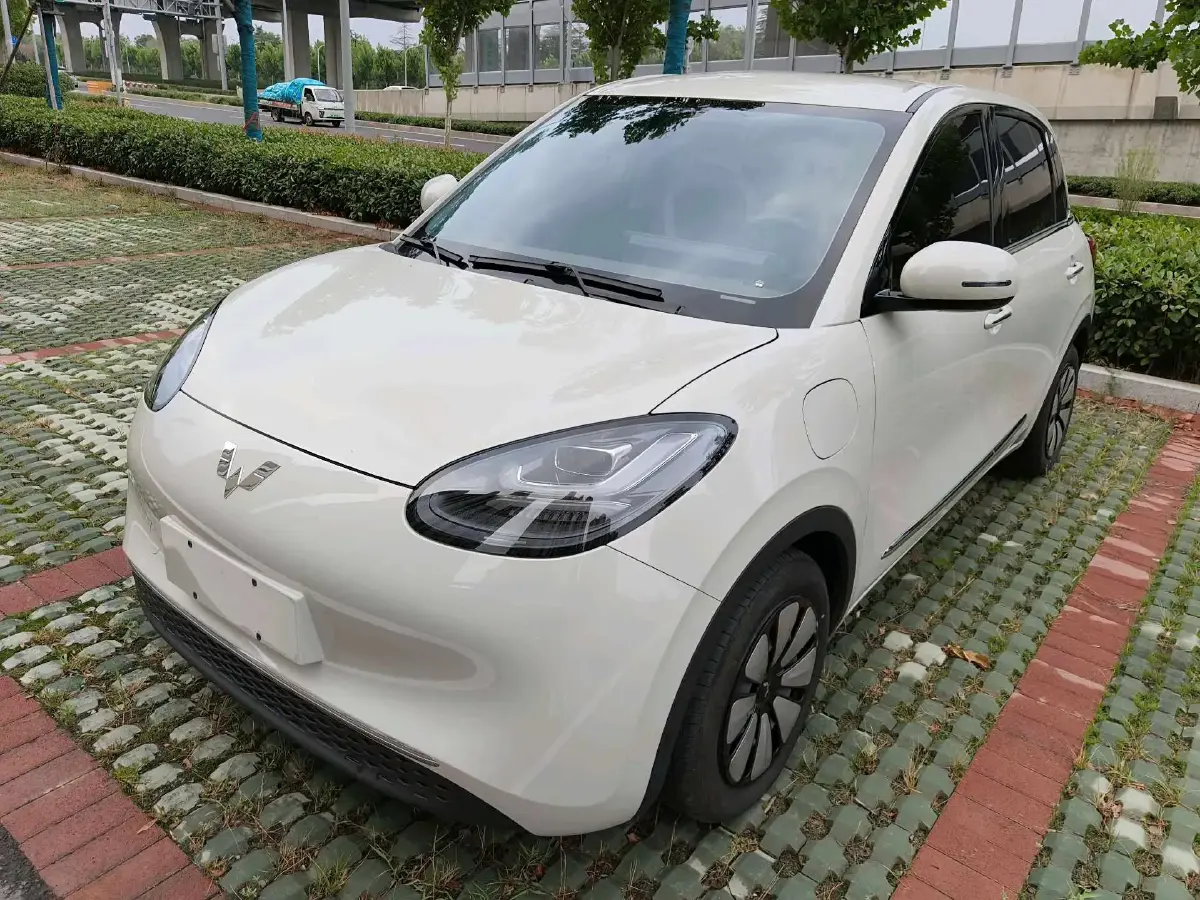 2024 WuLing BinGuo BEV 31.9KWH