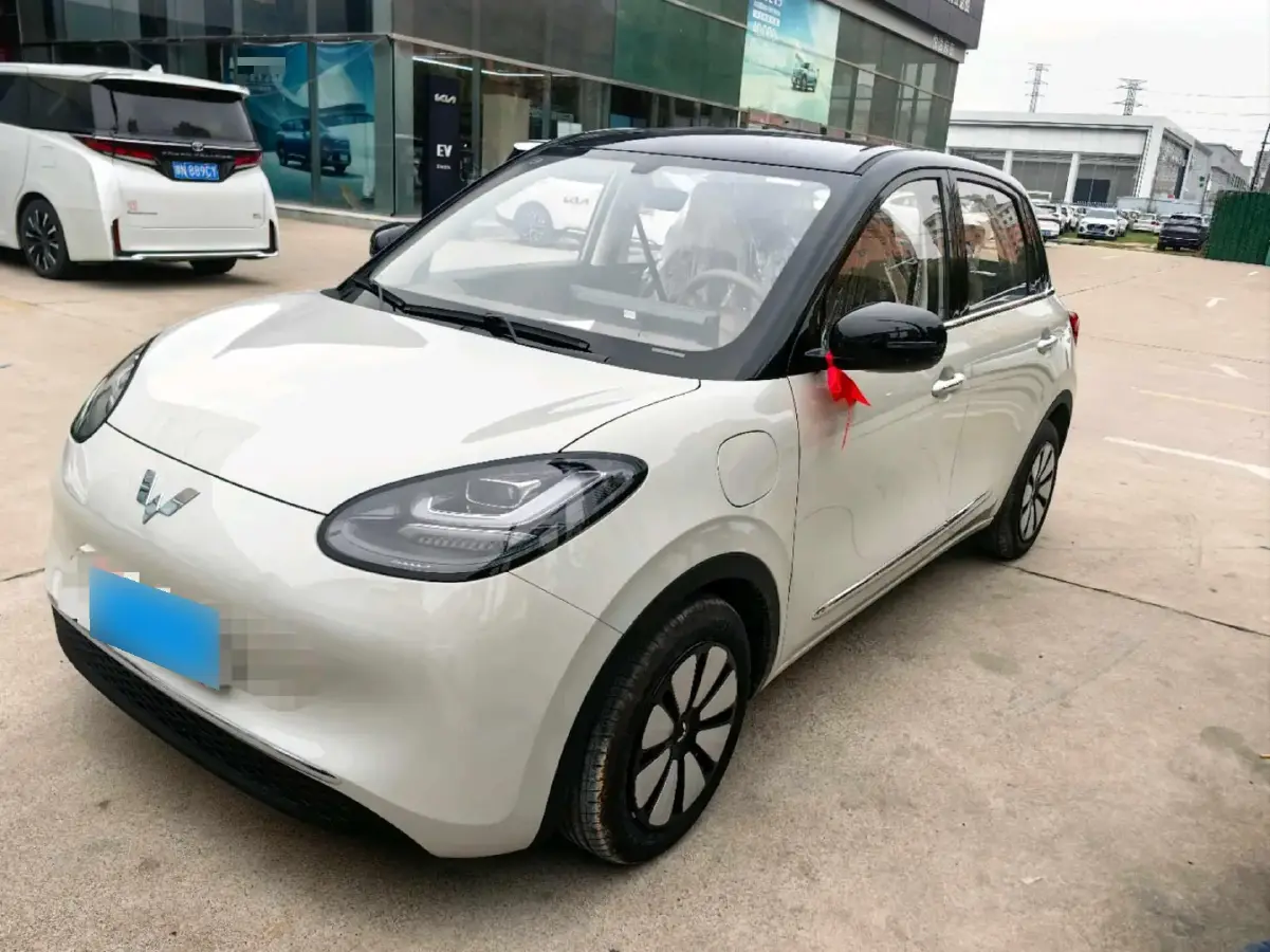 2024 WuLing BinGuo BEV 31.9KWH