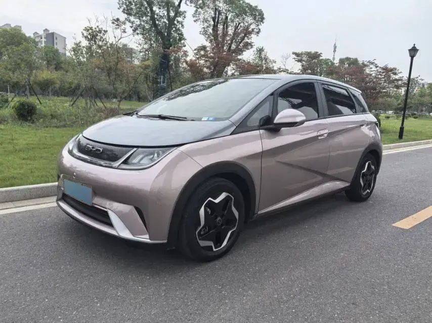 2021 BYD Dolphin BEV 44.9KWH