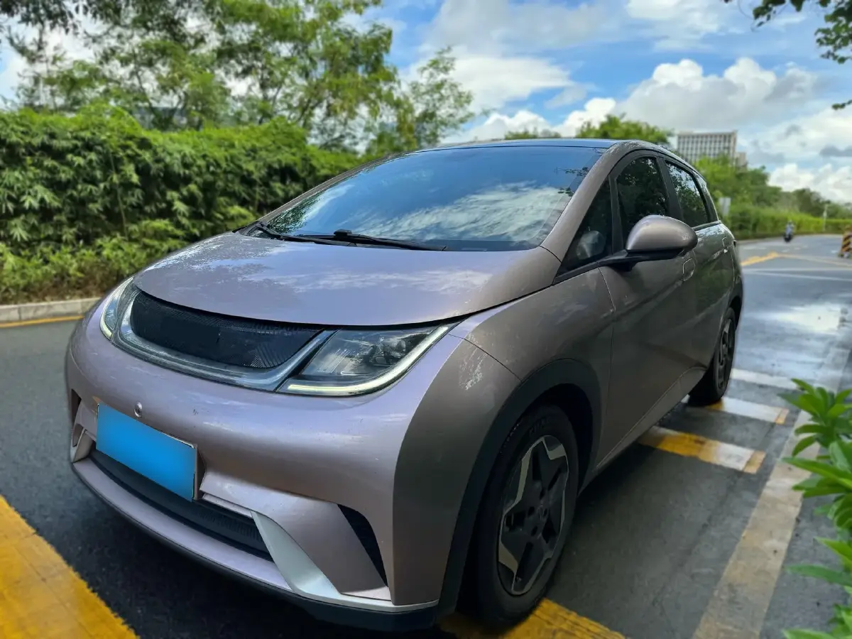 2021 BYD Dolphin BEV 44.9KWH