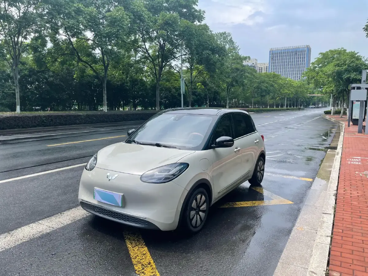 2023 WuLing BinGuo BEV 31.9KWH