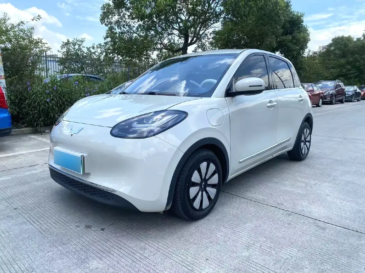 2023 WuLing BinGuo BEV 31.9KWH