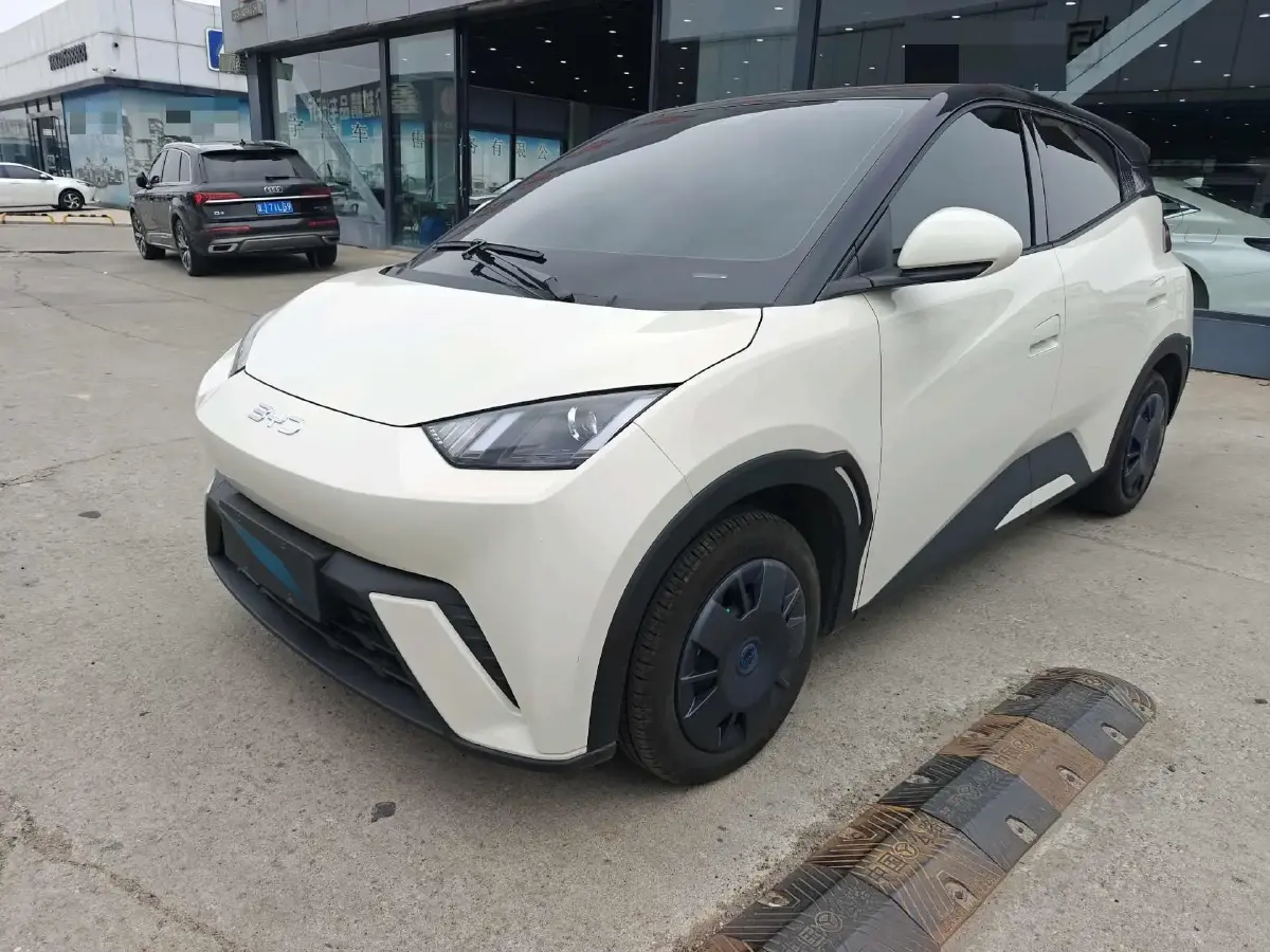 2024 BYD Seagull BEV 30.08KWH