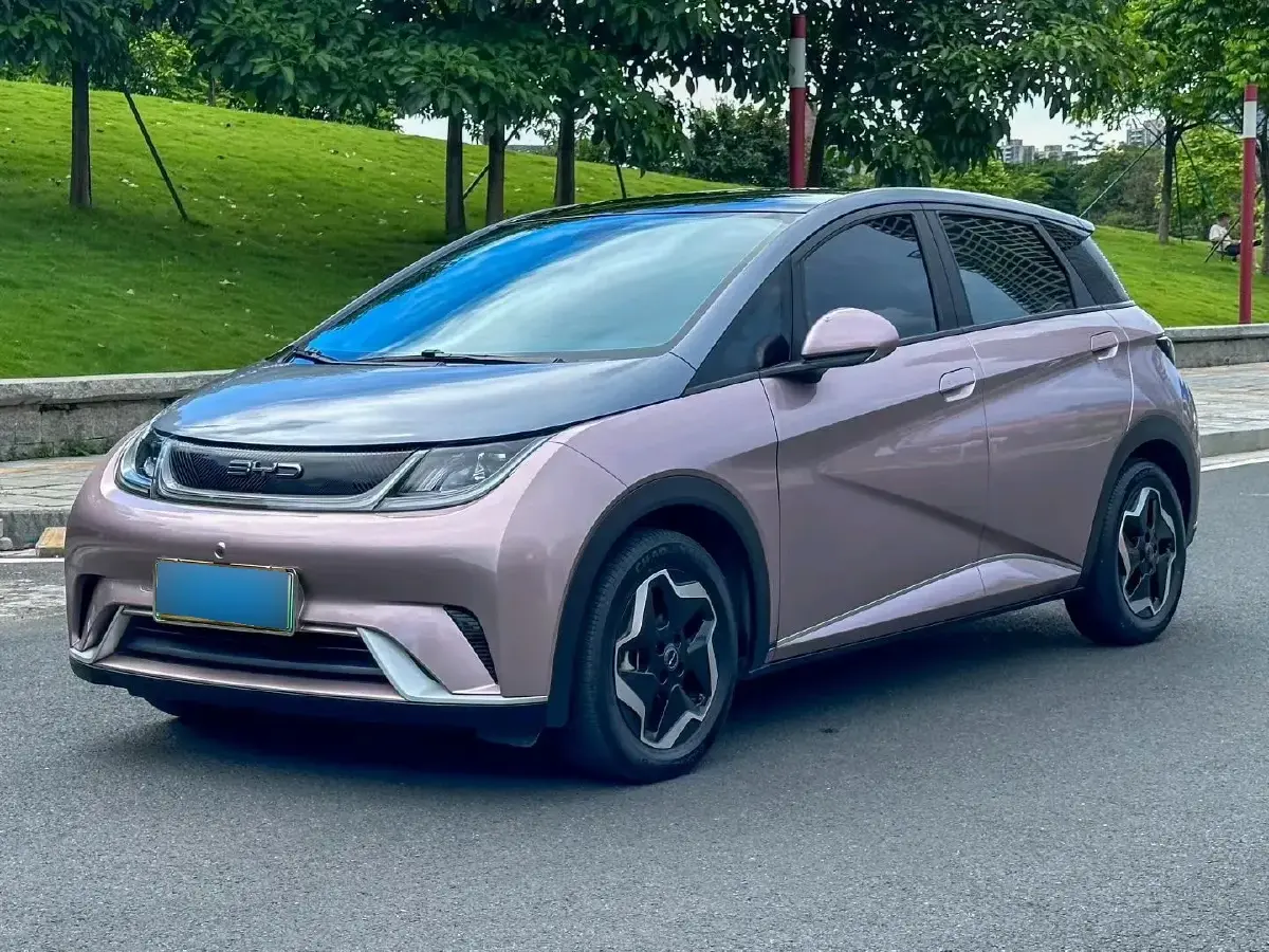 2021 BYD Dolphin BEV 44.9KWH