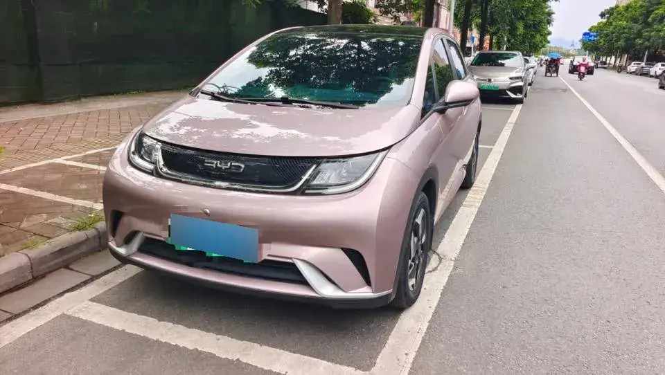 2021 BYD Dolphin BEV 44.9KWH