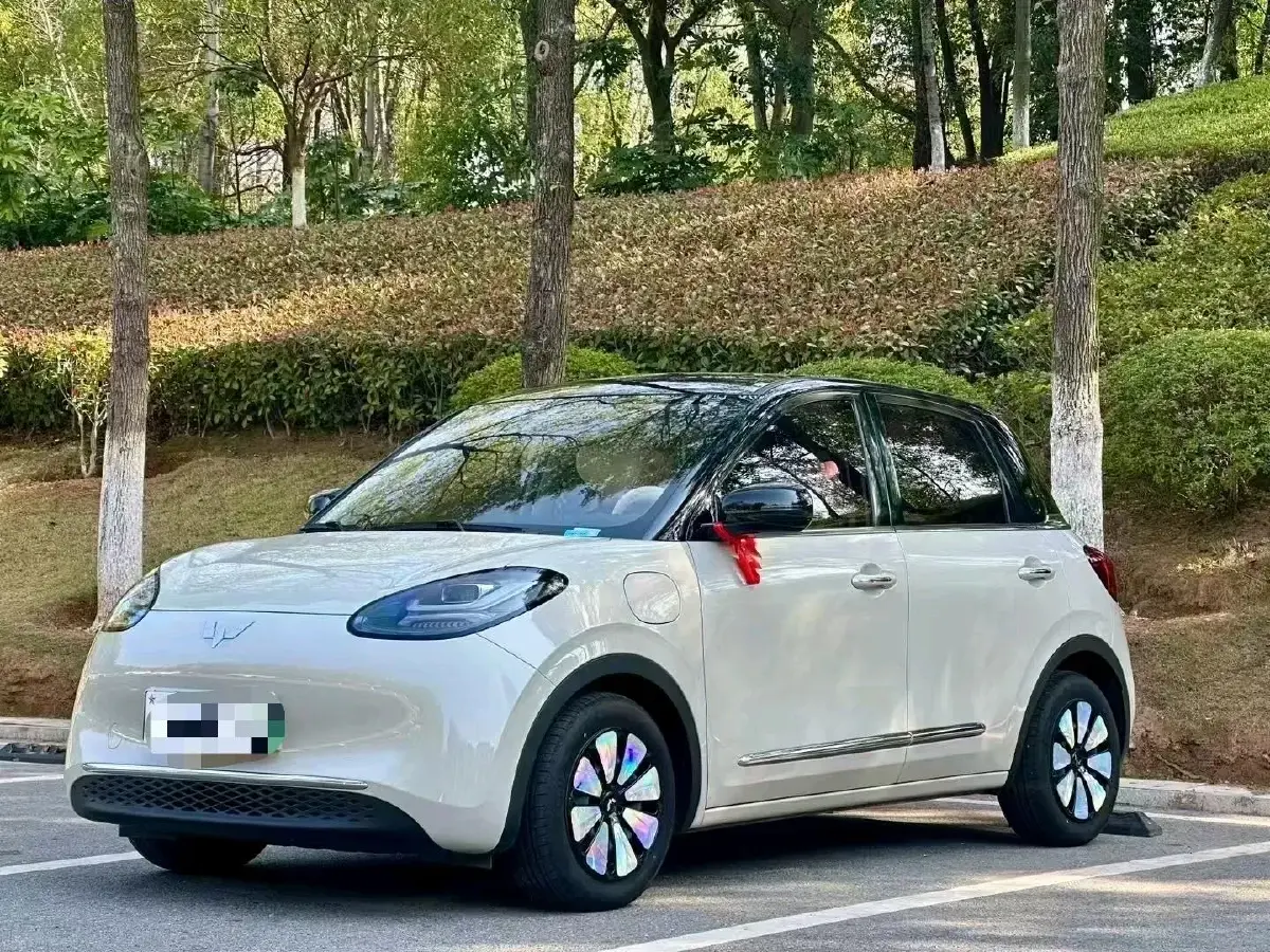 2024 WuLing BinGuo BEV 31.9KWH