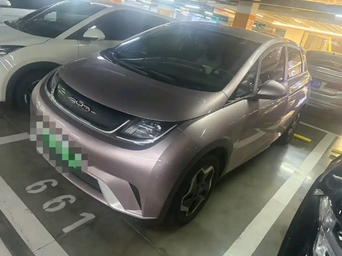 2021 BYD Dolphin BEV 44.9KWH