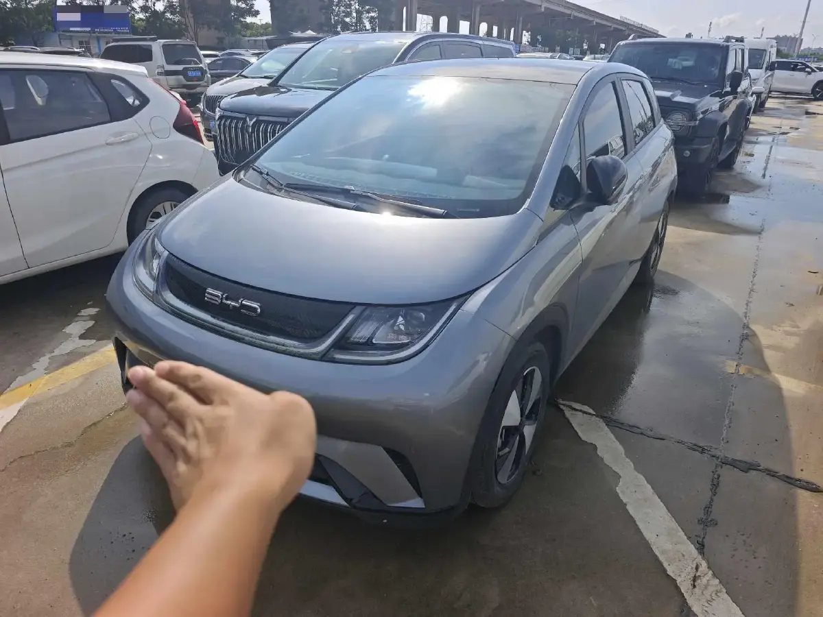 2023 BYD Dolphin BEV 44.928KWH