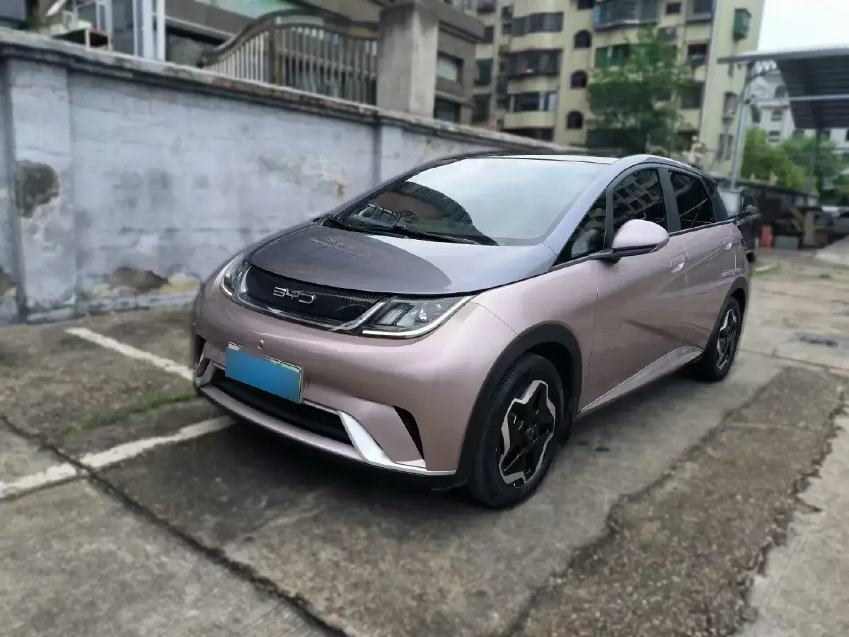 2021 BYD Dolphin BEV 44.9KWH