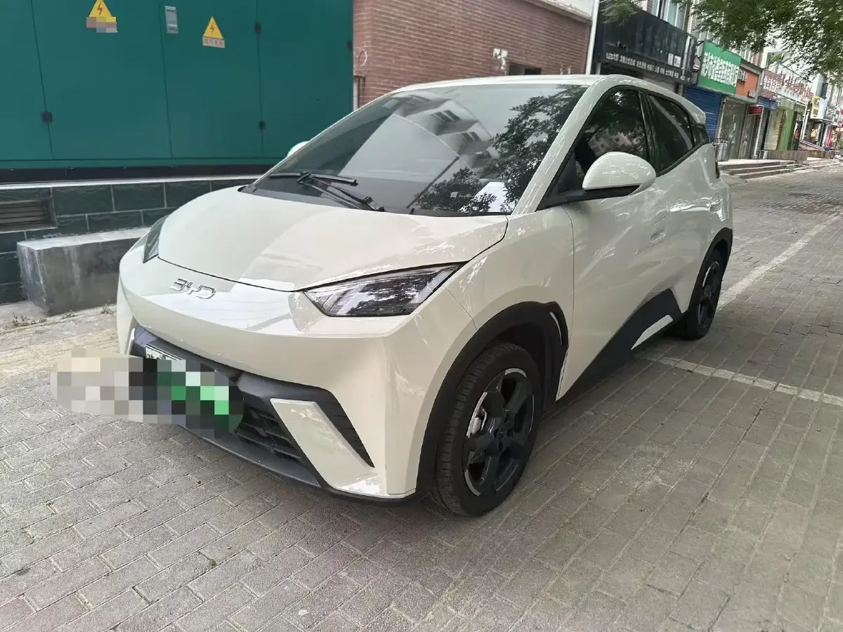 2024 BYD Seagull BEV 38.88KWH