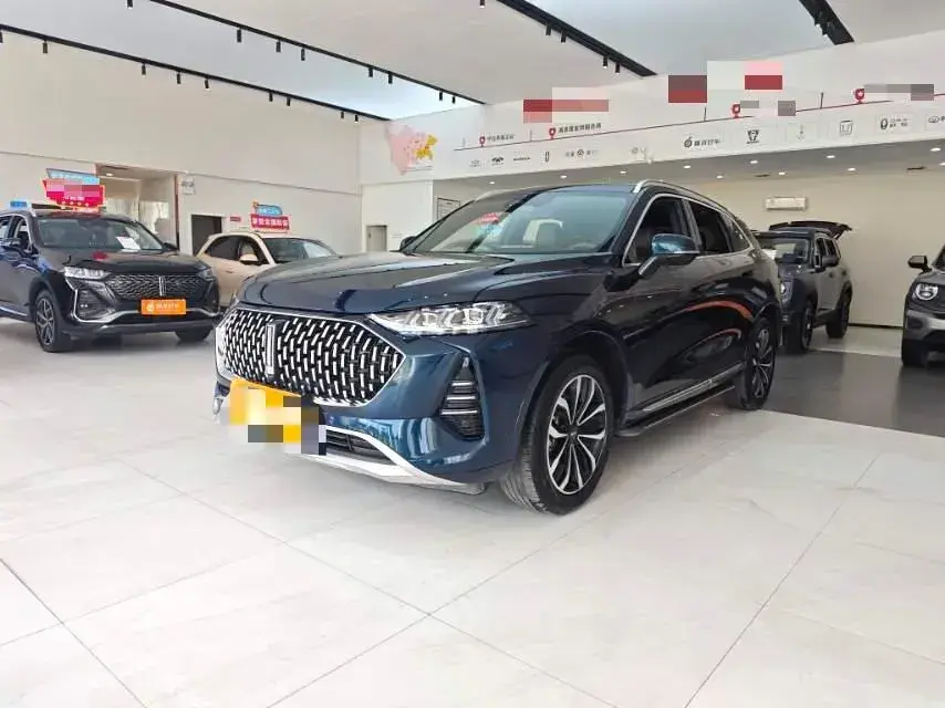 2021 WEY Mocha 2.0T 214HP L4 9DCT