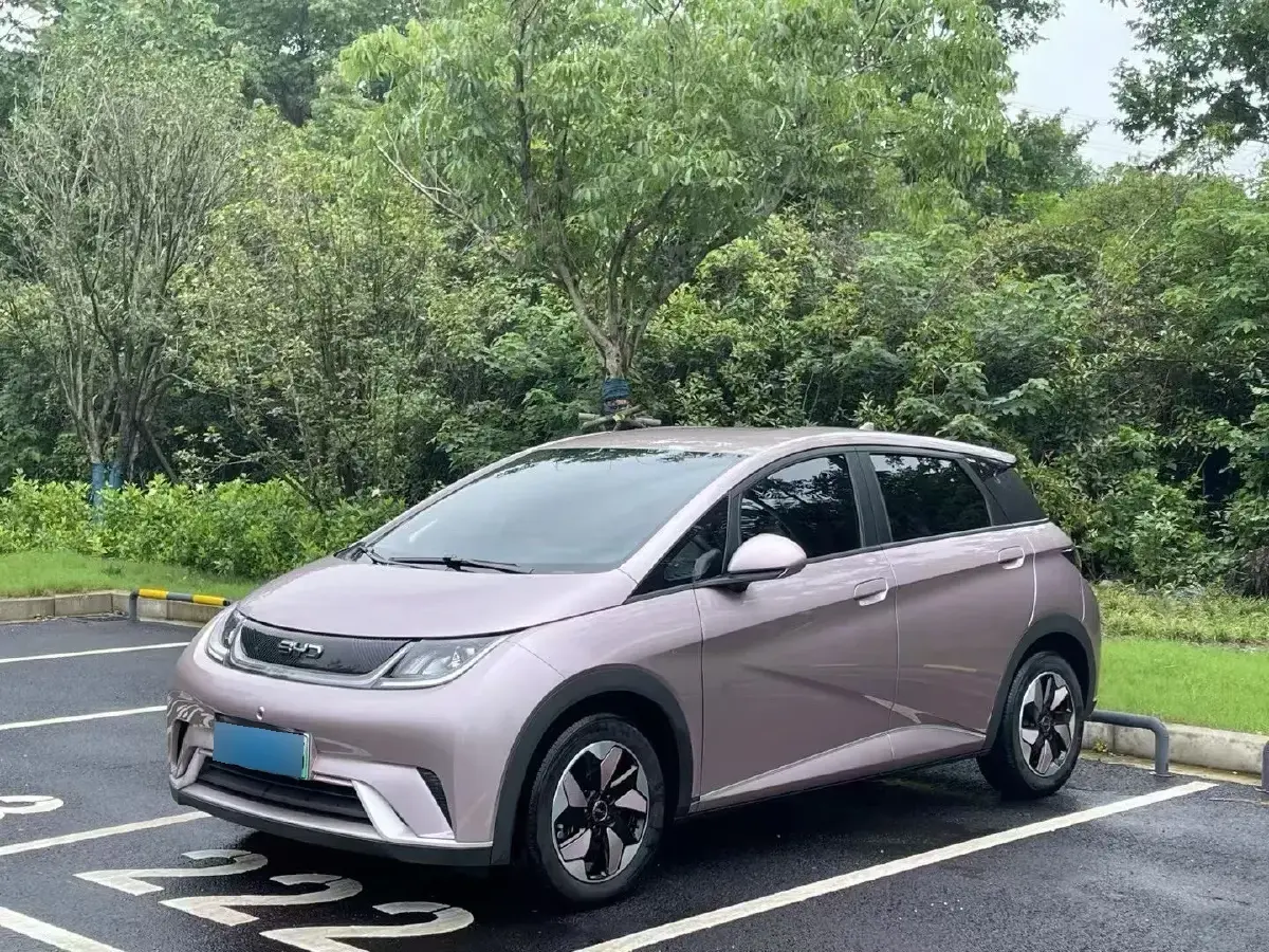 2024 BYD Dolphin BEV 44.928KWH