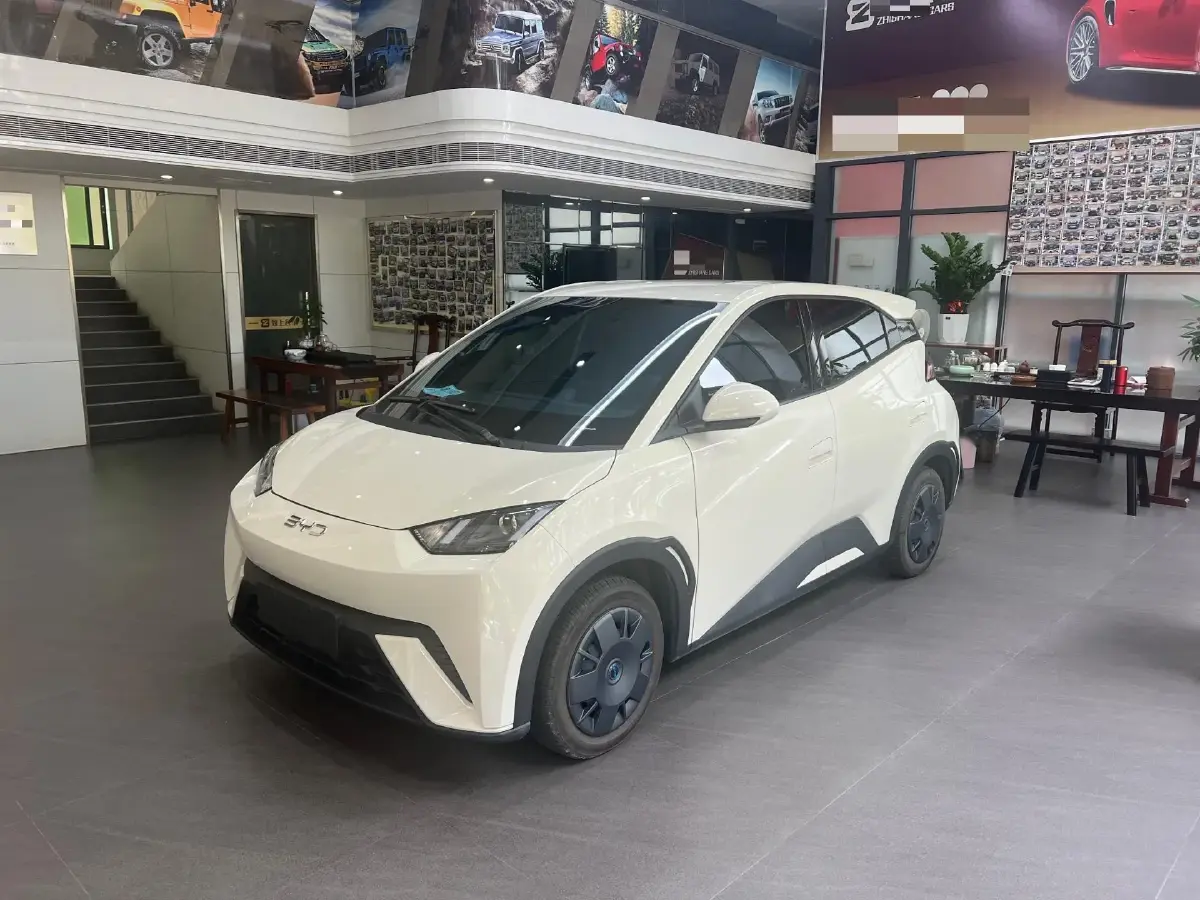2025 BYD Seagull BEV 30.08KWH