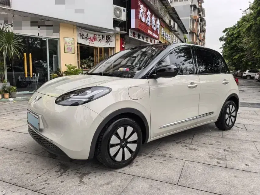 2024 WuLing BinGuo BEV 31.9KWH