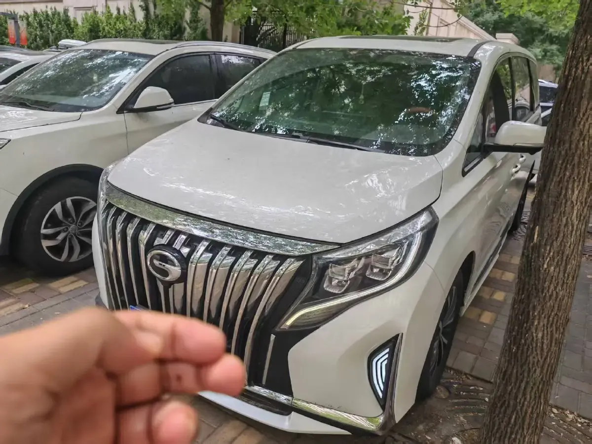 2021 GAC Trumpchi M8 2.0T 252HP L4 8AT