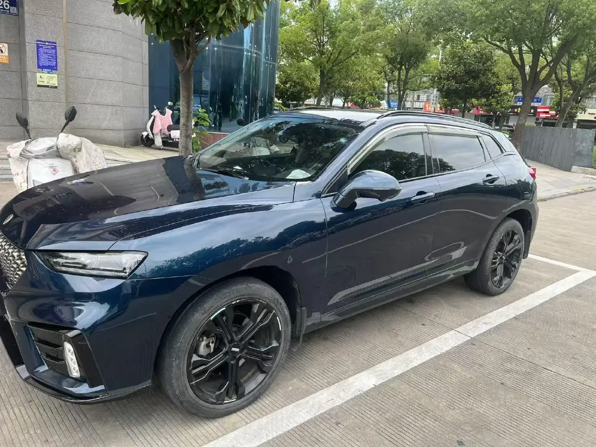 2019 WEY VV7 2.0T 234HP L4 7DCT