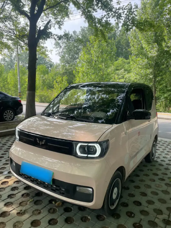 2021 WuLing HongGuang MINI EV BEV 9KWH