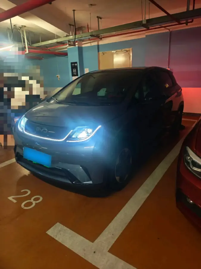 2025 BYD Dolphin BEV 44.928KWH