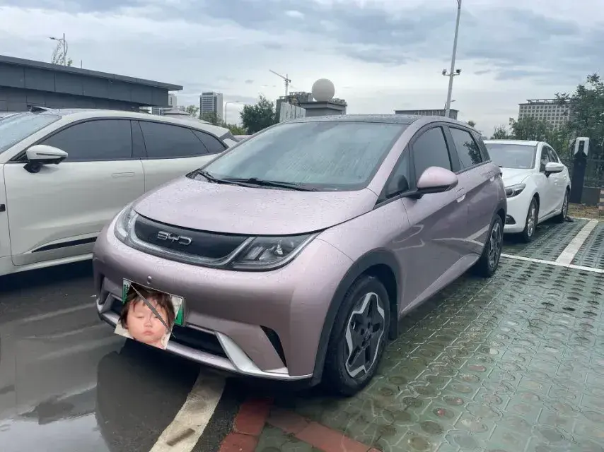 2021 BYD Dolphin BEV 44.9KWH