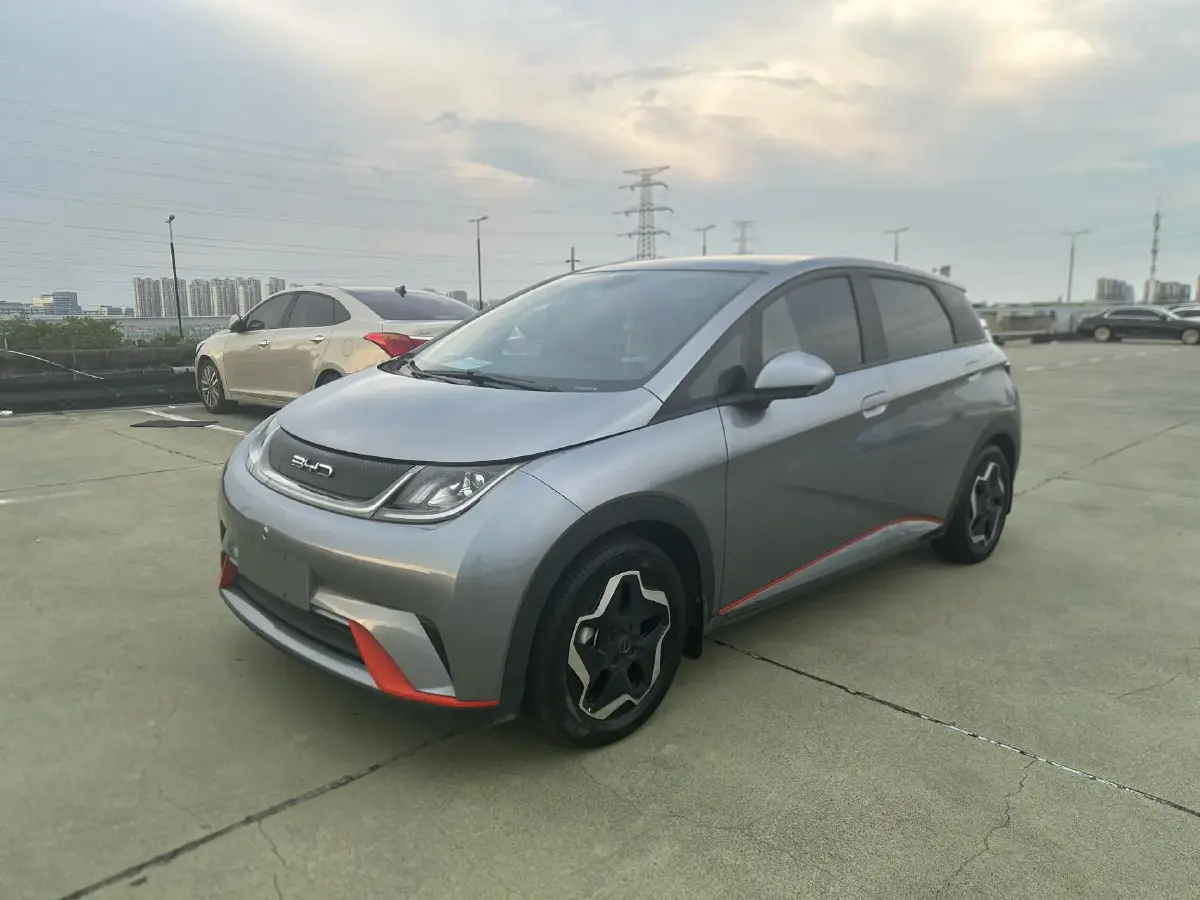 2021 BYD Dolphin BEV 44.9KWH