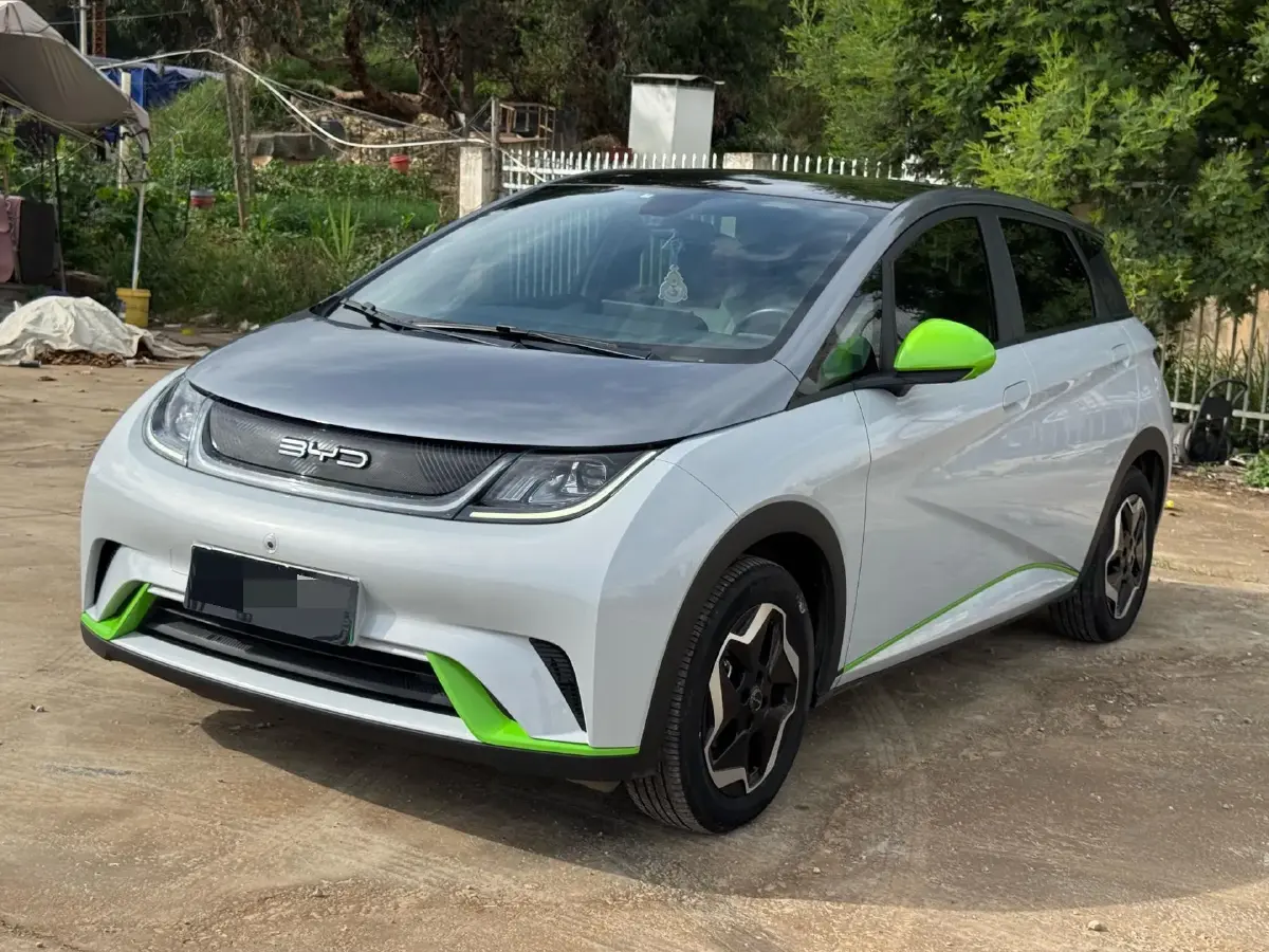 2021 BYD Dolphin BEV 44.9KWH