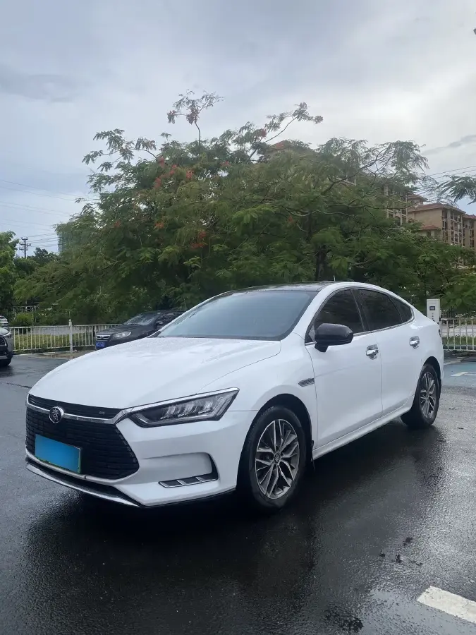 2019 BYD Qin Pro BEV 53.1KWH
