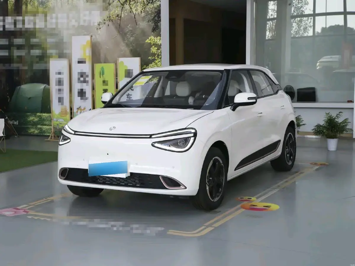 2024 DongFeng Nammi 01 BEV 42.3KWH
