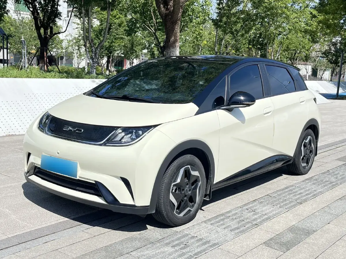 2021 BYD Dolphin BEV 44.9KWH