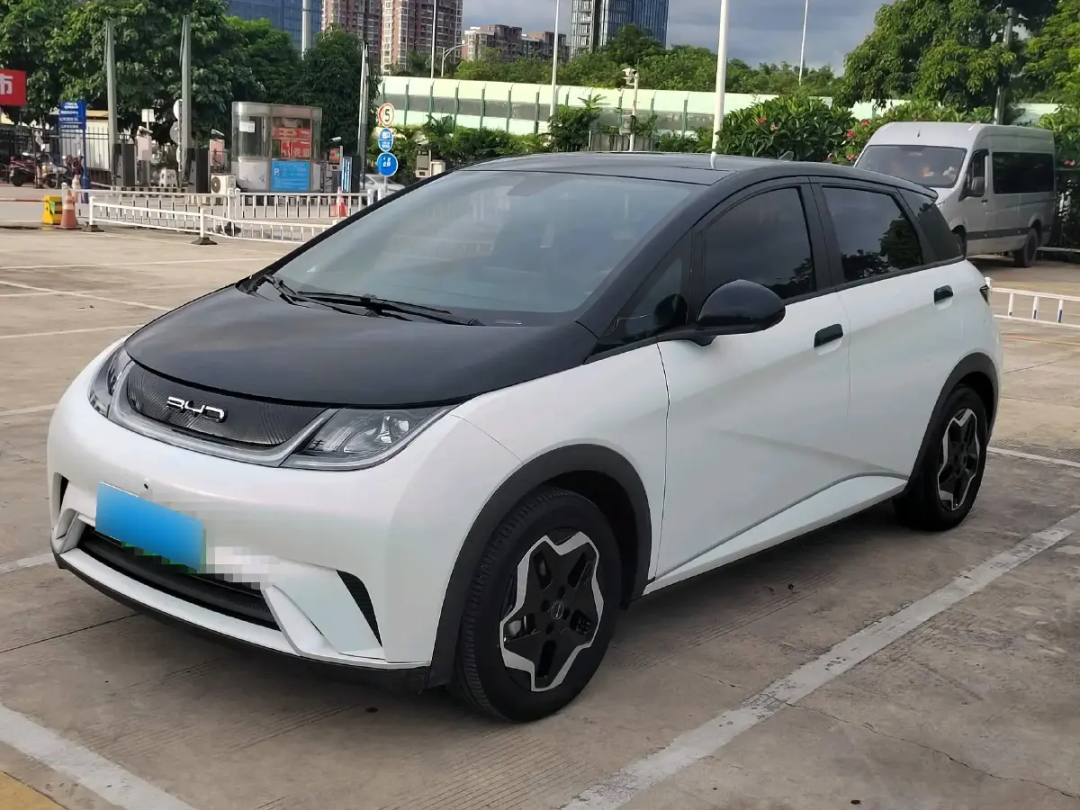 2021 BYD Dolphin BEV 44.9KWH