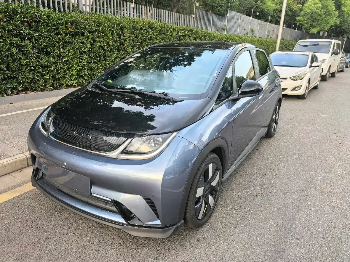 2023 BYD Dolphin BEV 44.928KWH