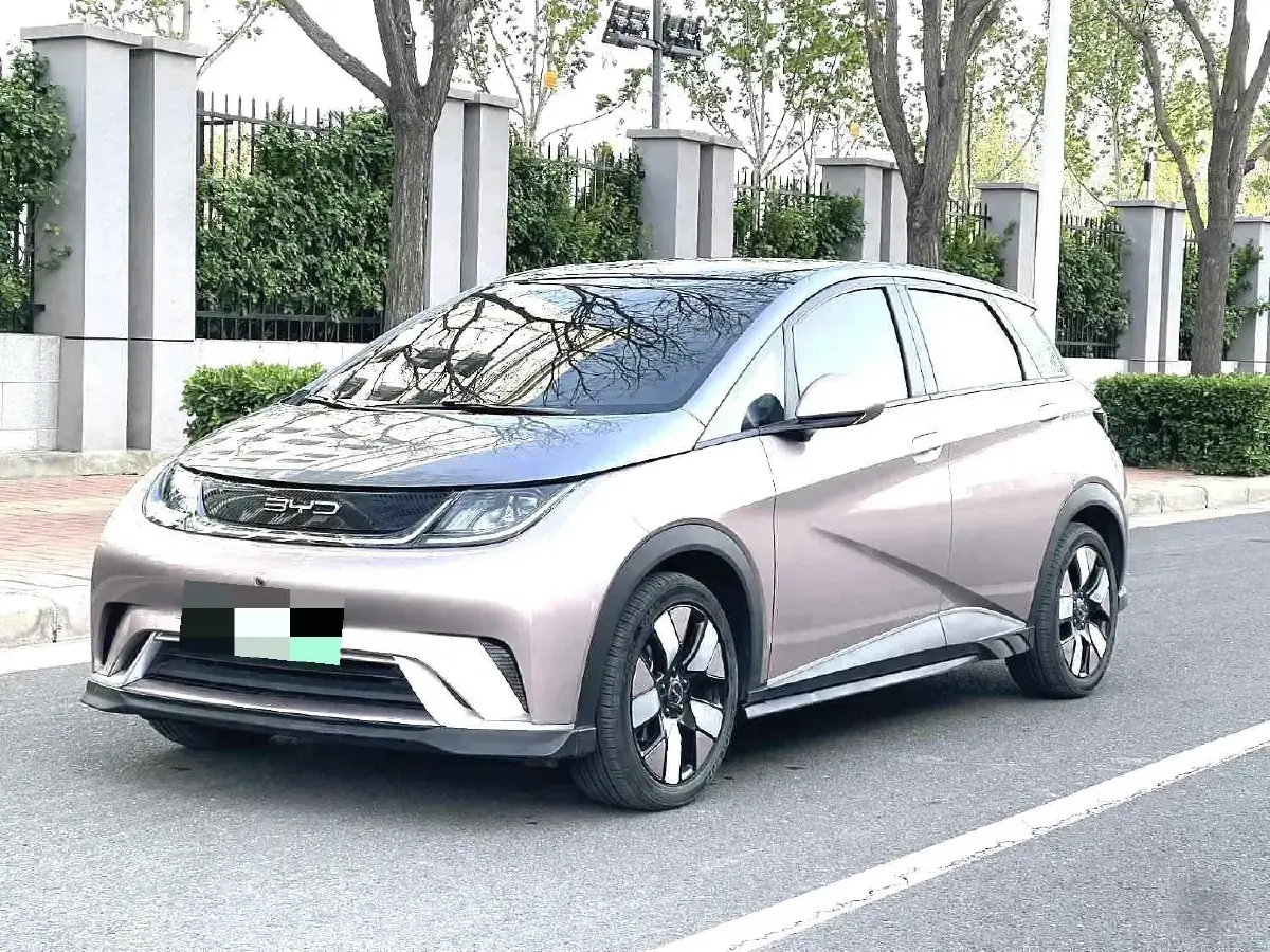 2021 BYD Dolphin BEV 44.9KWH