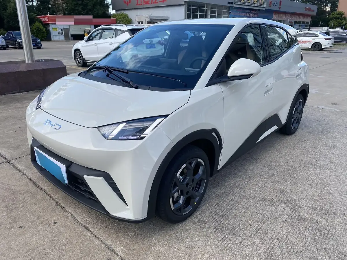 2025 BYD Seagull BEV 30.08KWH